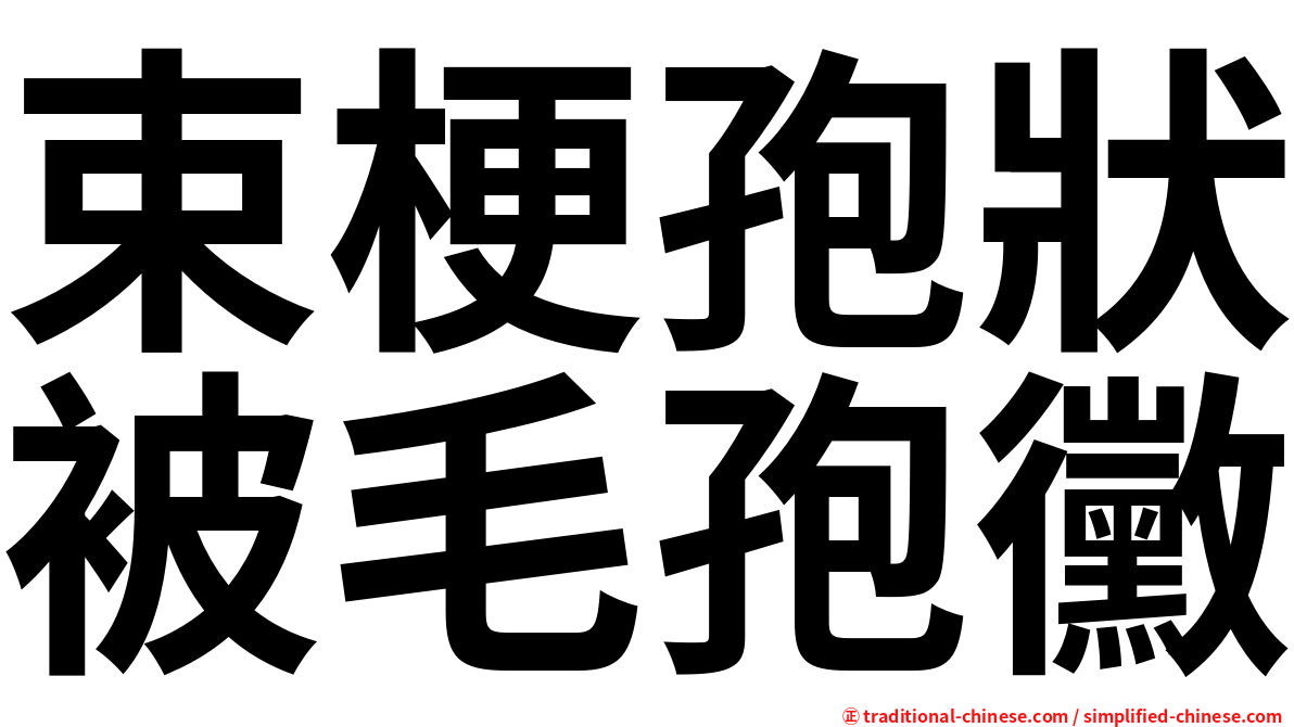 束梗孢狀被毛孢黴