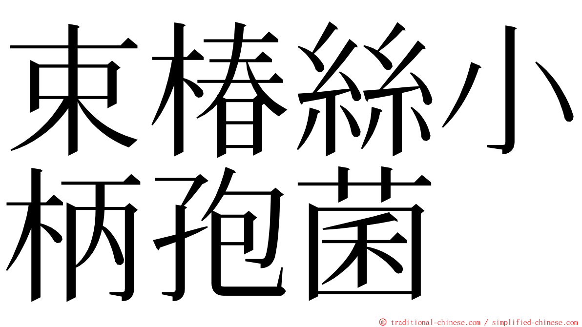 束椿絲小柄孢菌 ming font