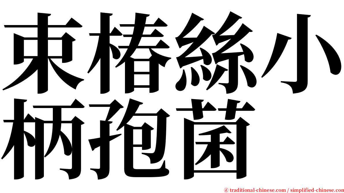 束椿絲小柄孢菌 serif font