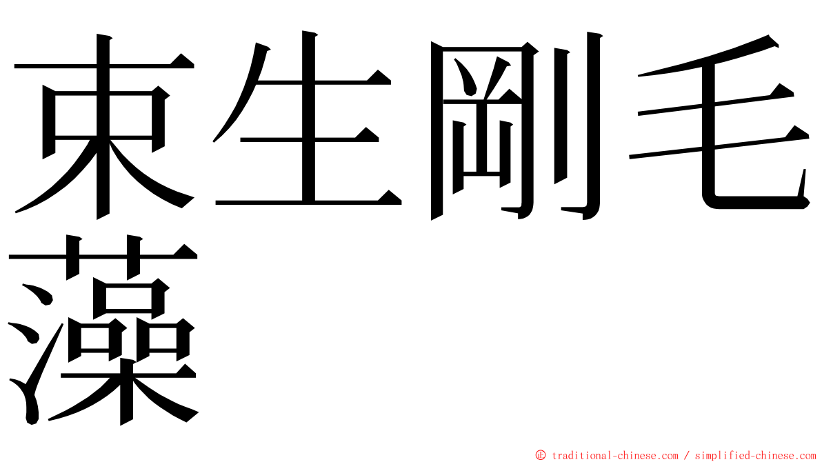 束生剛毛藻 ming font