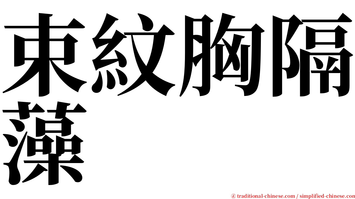 束紋胸隔藻 serif font