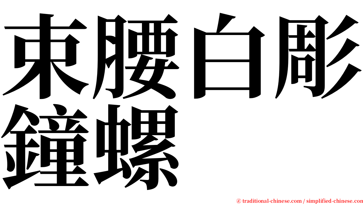 束腰白彫鐘螺 serif font