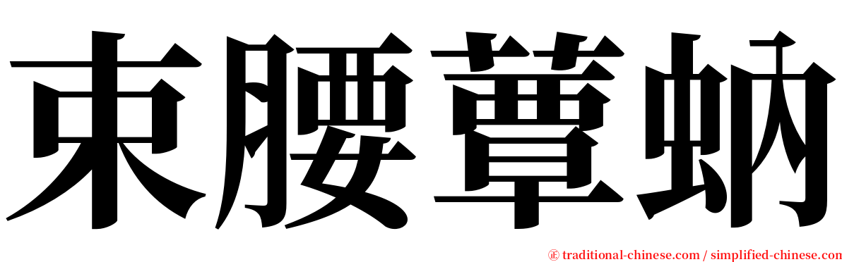 束腰蕈蚋 serif font