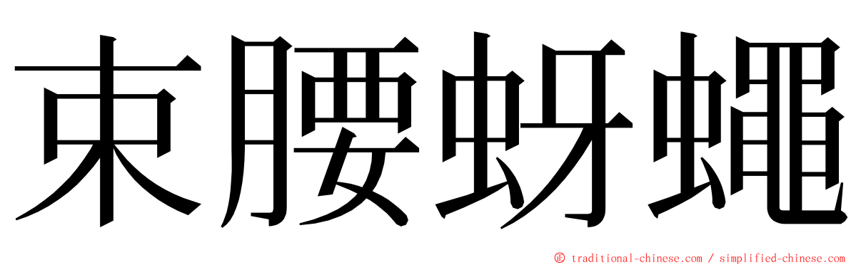 束腰蚜蠅 ming font