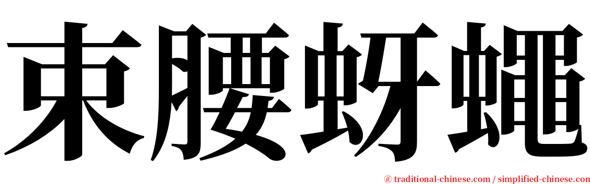 束腰蚜蠅 serif font