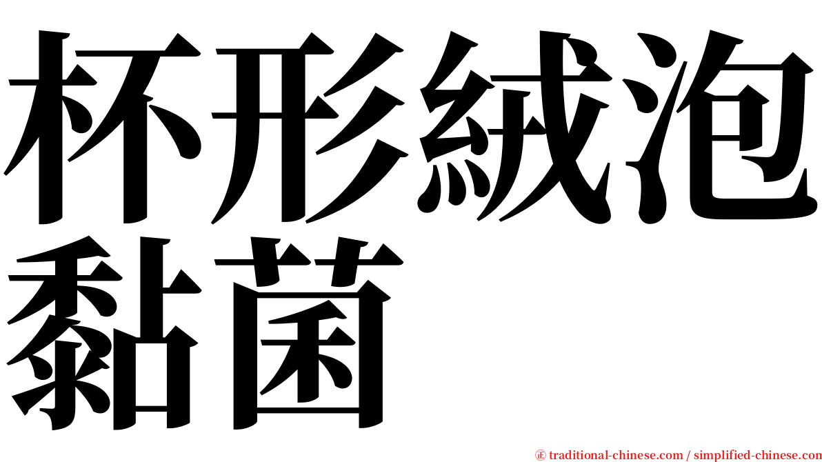 杯形絨泡黏菌 serif font