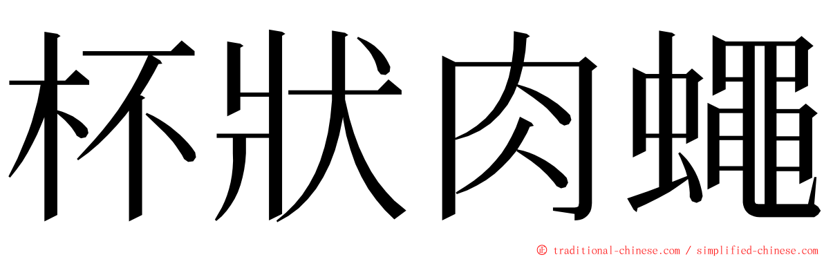 杯狀肉蠅 ming font