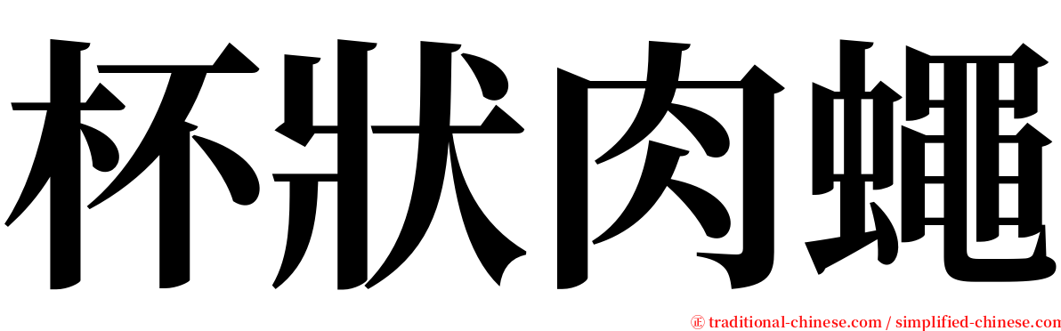 杯狀肉蠅 serif font