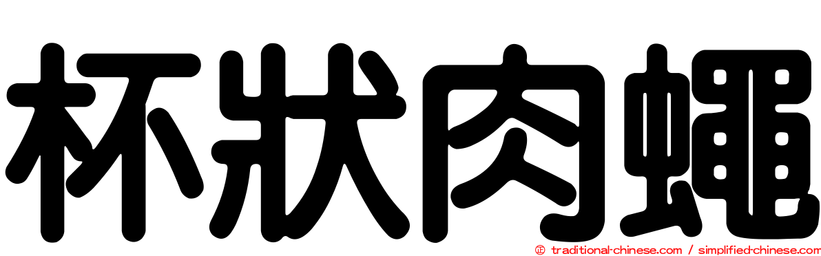 杯狀肉蠅