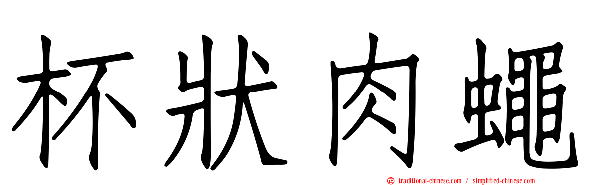 杯狀肉蠅