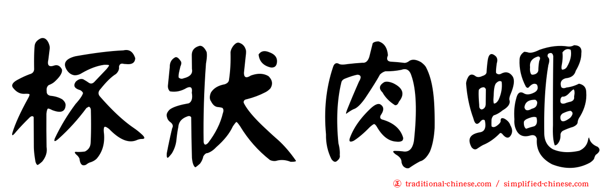 杯狀肉蠅