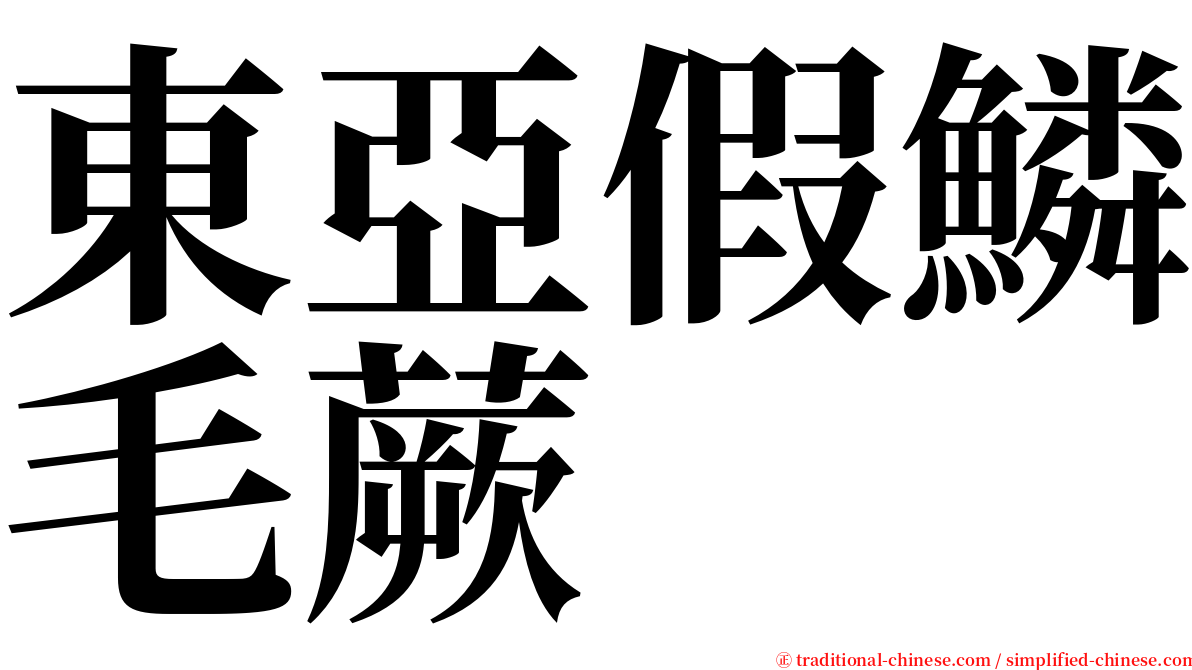 東亞假鱗毛蕨 serif font