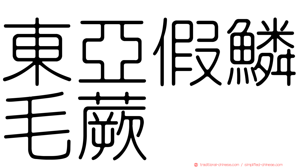 東亞假鱗毛蕨