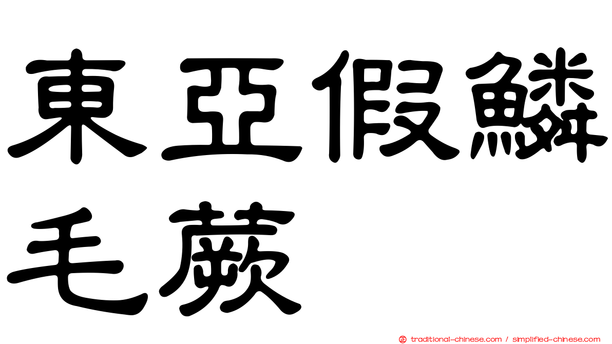 東亞假鱗毛蕨