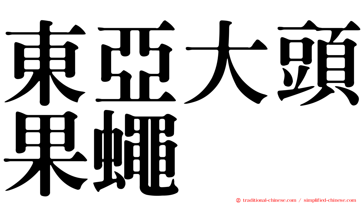 東亞大頭果蠅