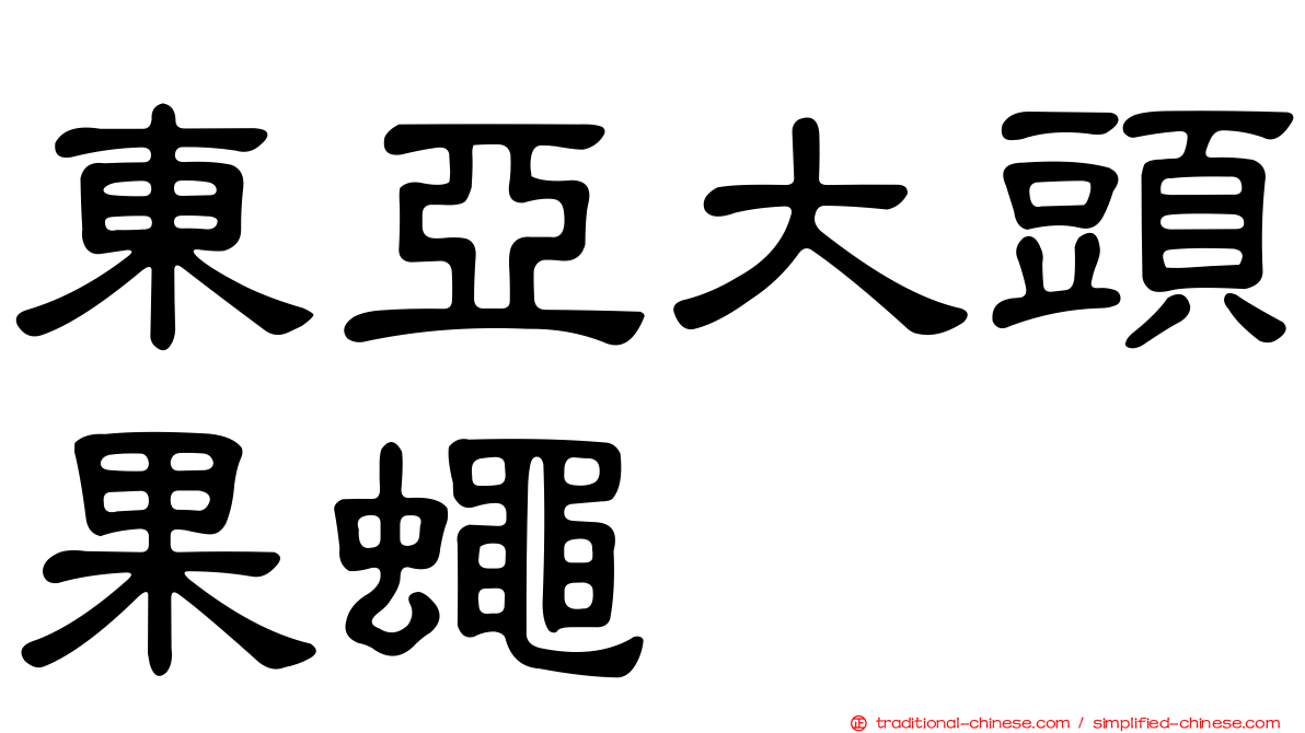 東亞大頭果蠅