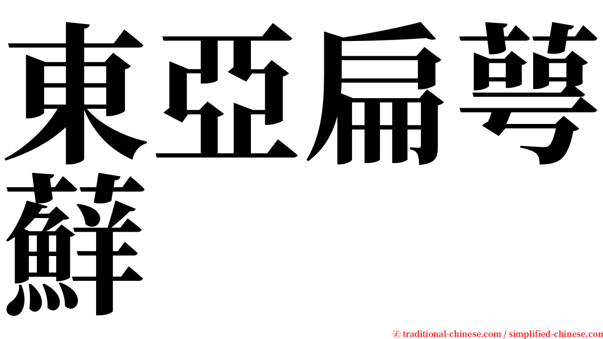 東亞扁萼蘚 serif font