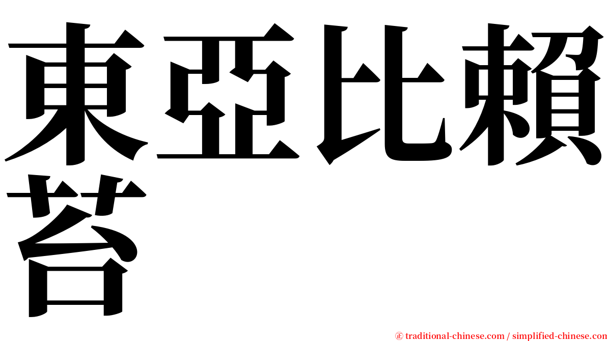 東亞比賴苔 serif font