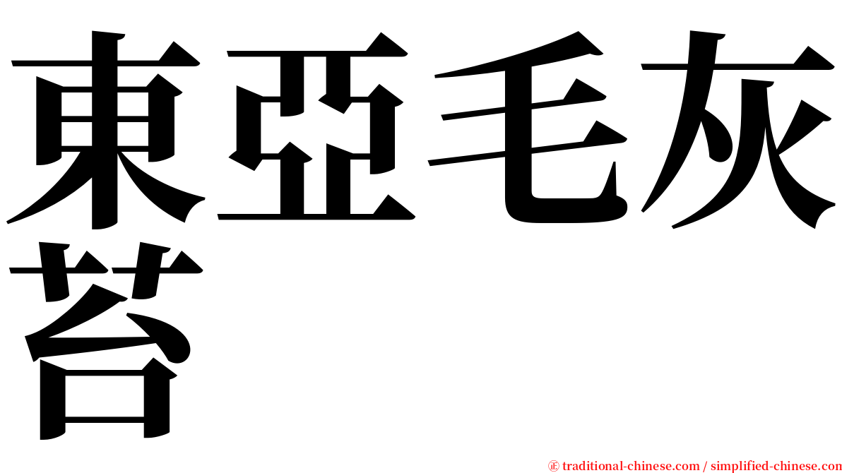 東亞毛灰苔 serif font
