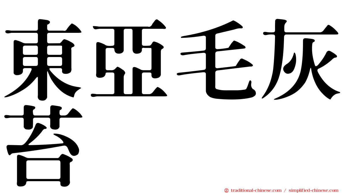 東亞毛灰苔