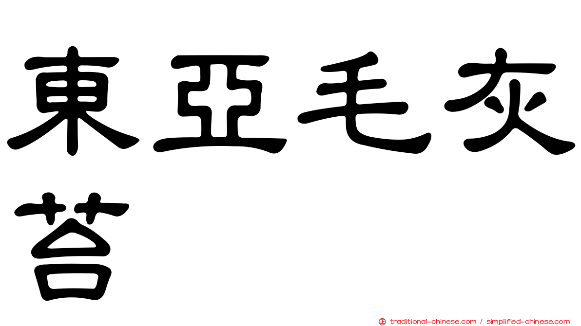 東亞毛灰苔