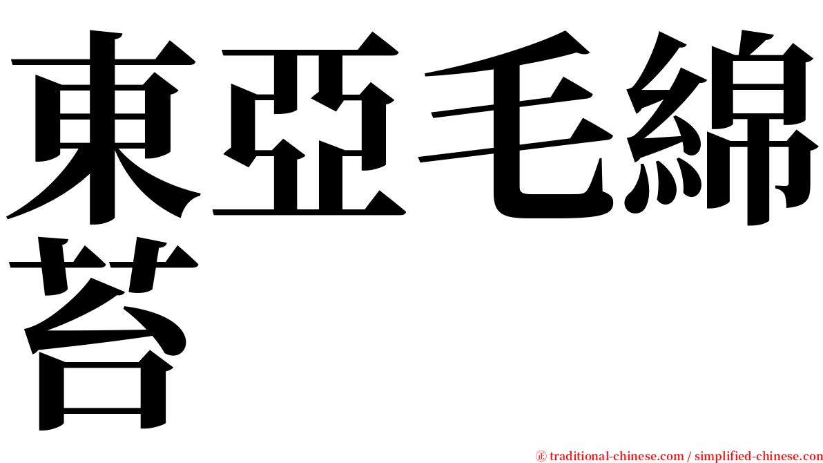 東亞毛綿苔 serif font