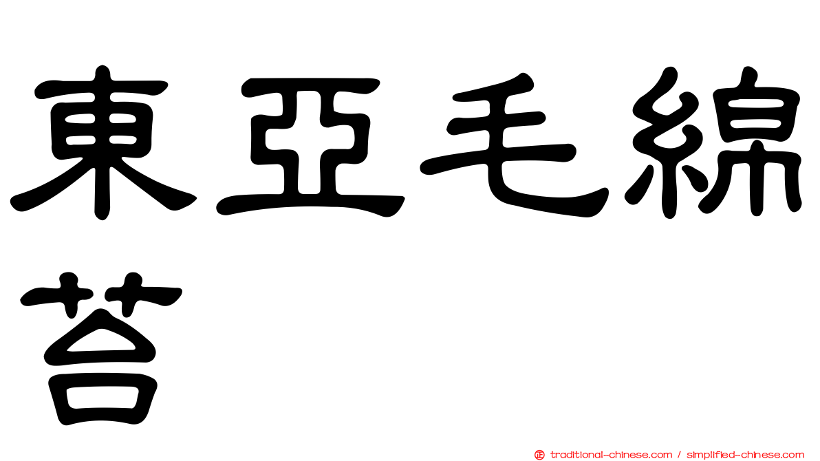 東亞毛綿苔