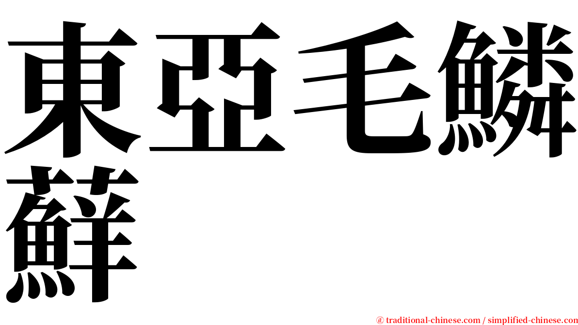 東亞毛鱗蘚 serif font