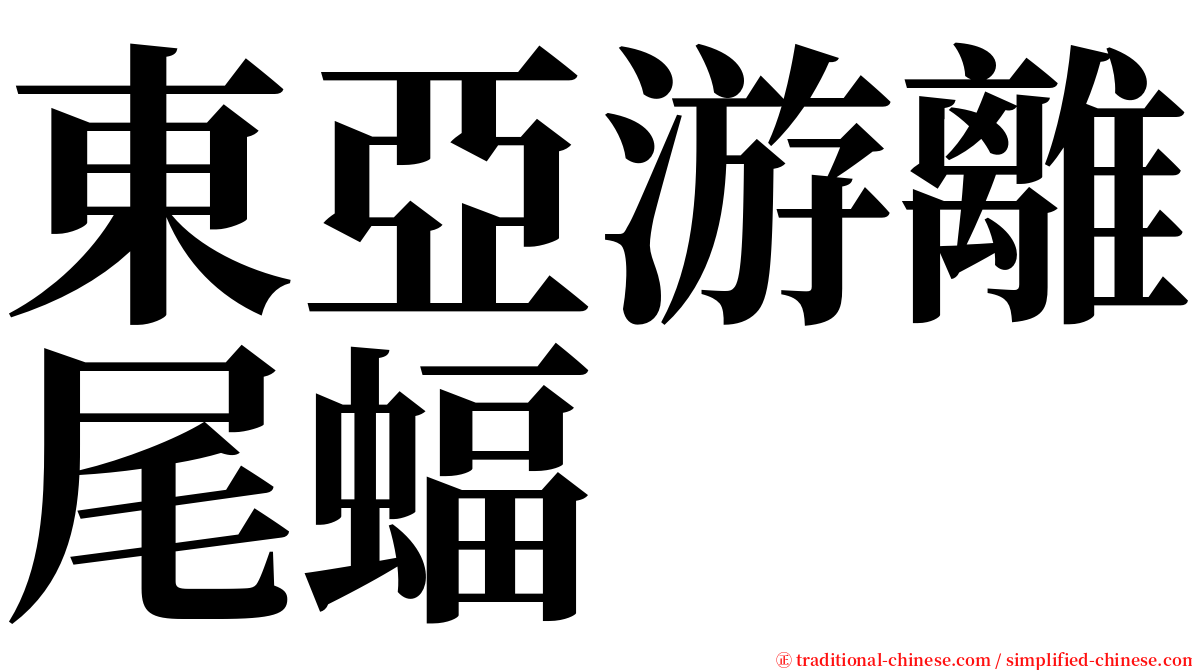 東亞游離尾蝠 serif font