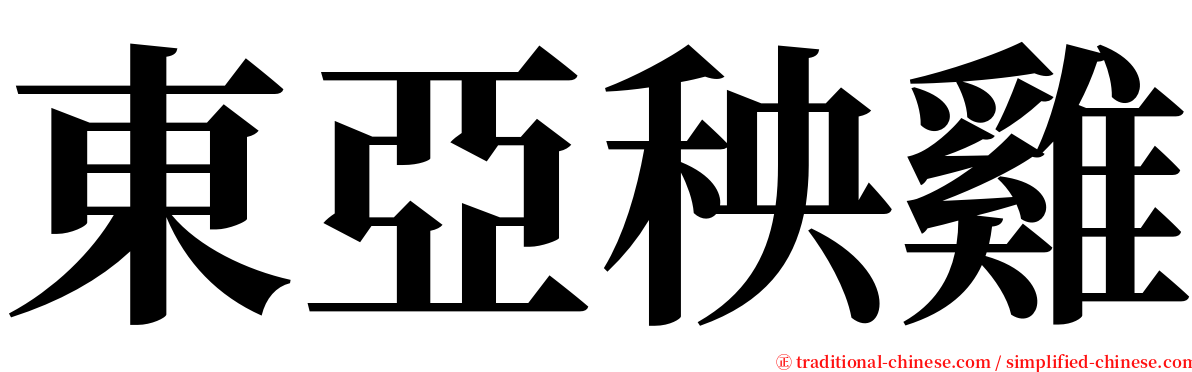 東亞秧雞 serif font