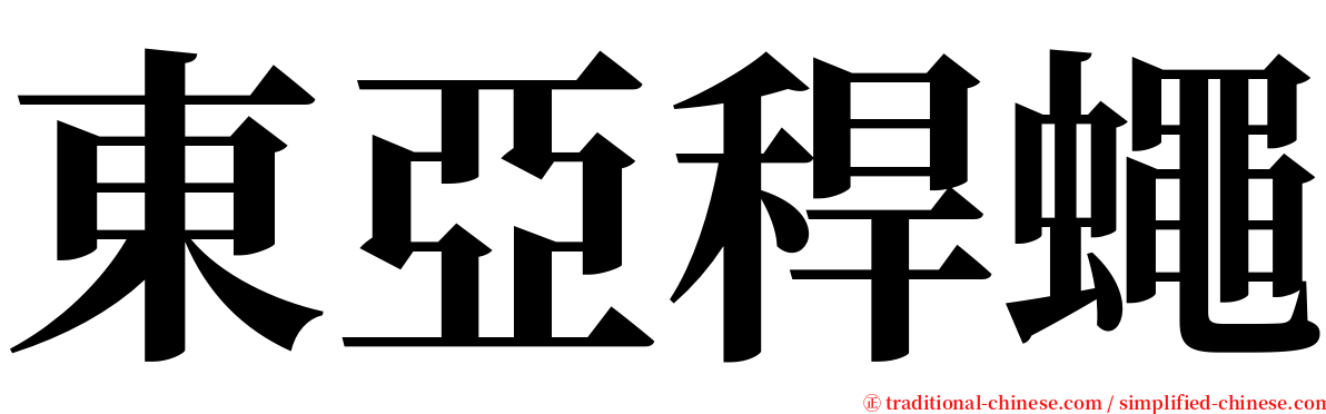 東亞稈蠅 serif font