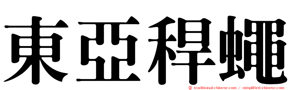 東亞稈蠅