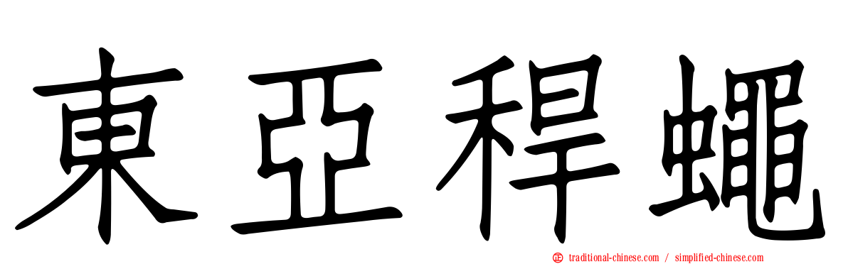 東亞稈蠅