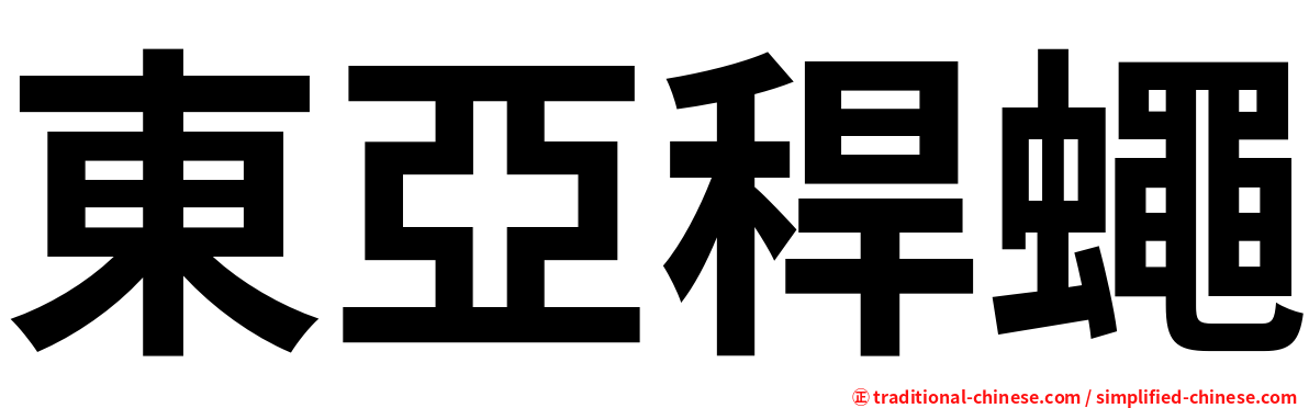 東亞稈蠅