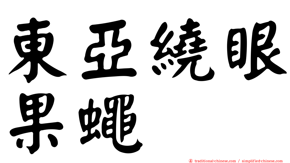 東亞繞眼果蠅