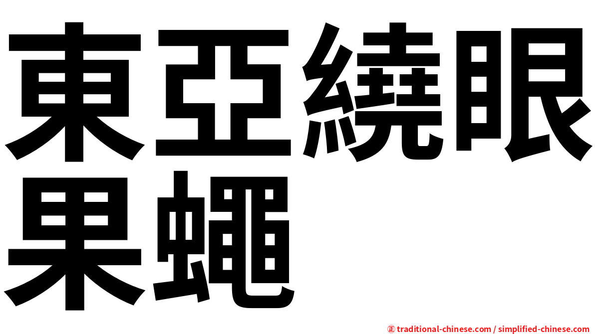 東亞繞眼果蠅