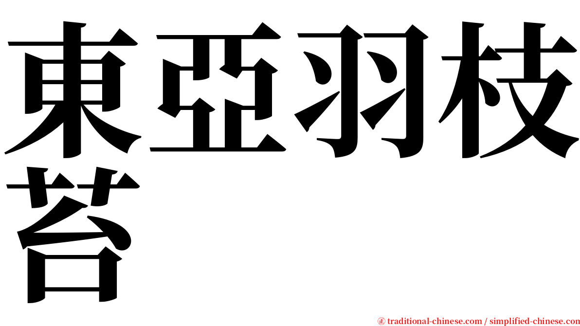 東亞羽枝苔 serif font