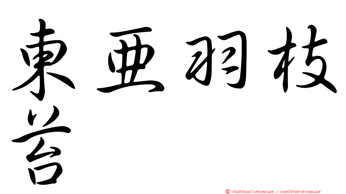 東亞羽枝苔