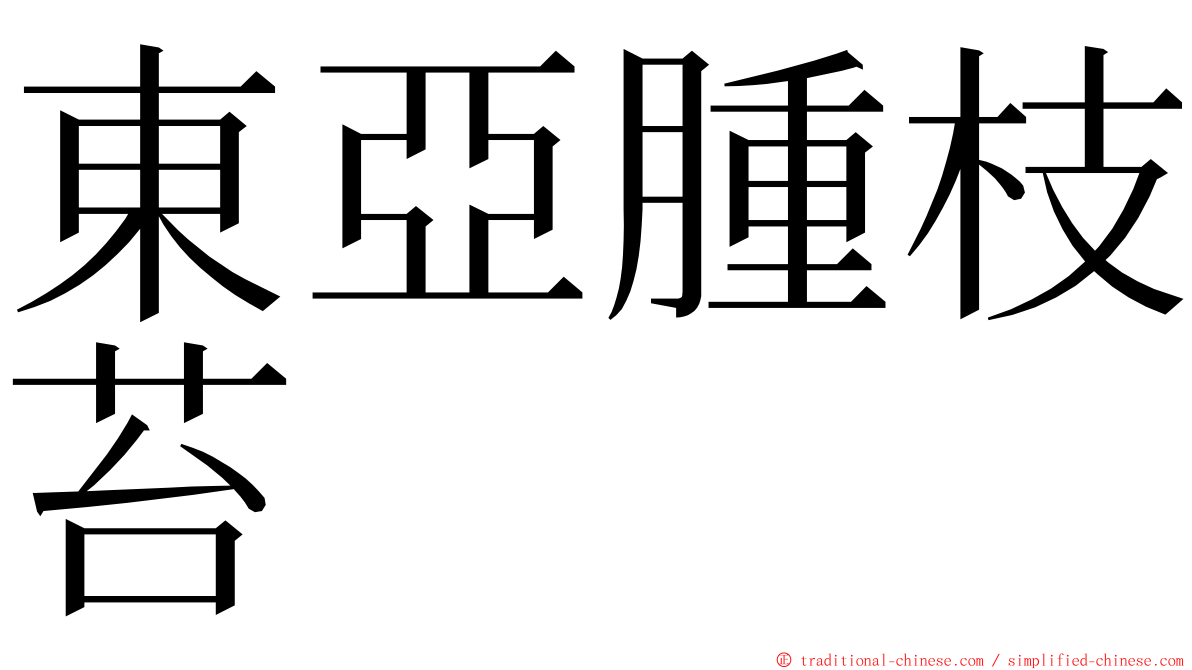 東亞腫枝苔 ming font