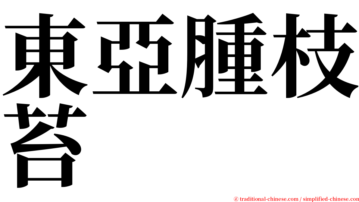 東亞腫枝苔 serif font