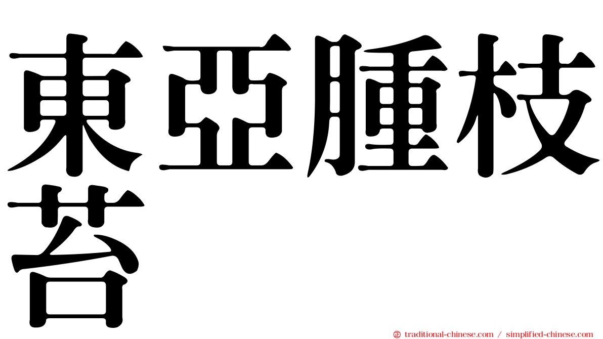 東亞腫枝苔