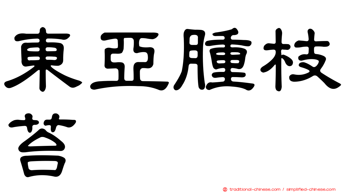 東亞腫枝苔