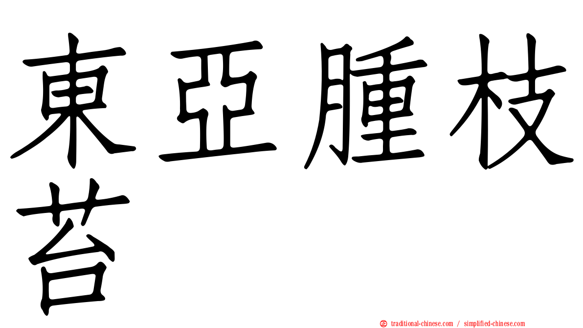 東亞腫枝苔