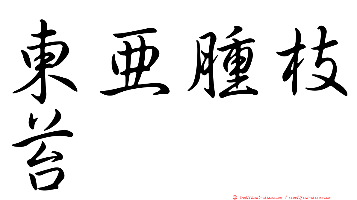 東亞腫枝苔