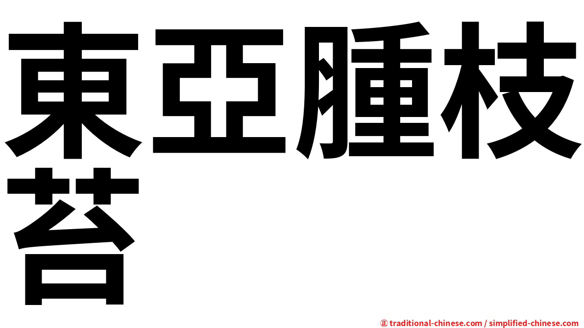 東亞腫枝苔