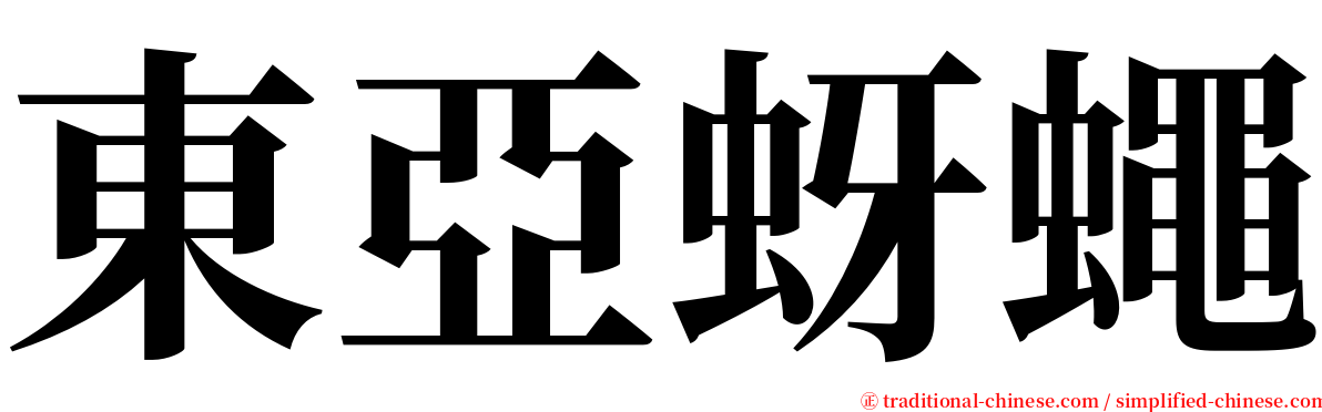 東亞蚜蠅 serif font