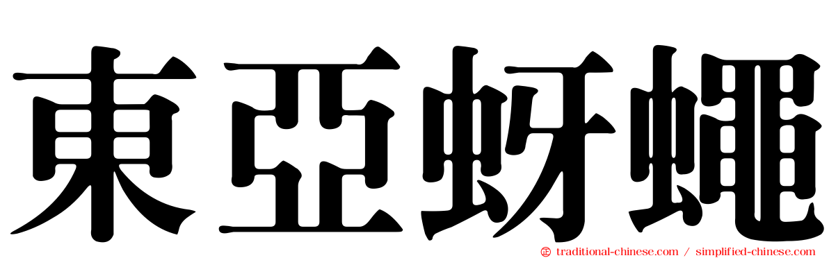 東亞蚜蠅