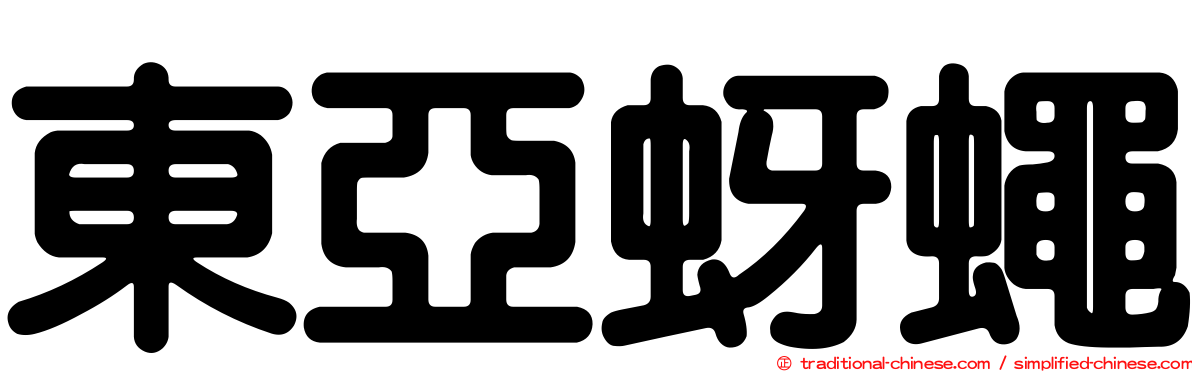 東亞蚜蠅