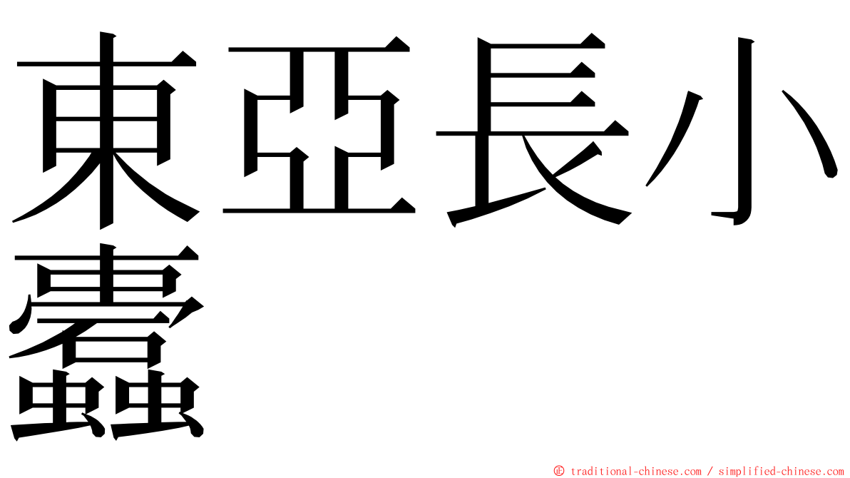 東亞長小蠹 ming font