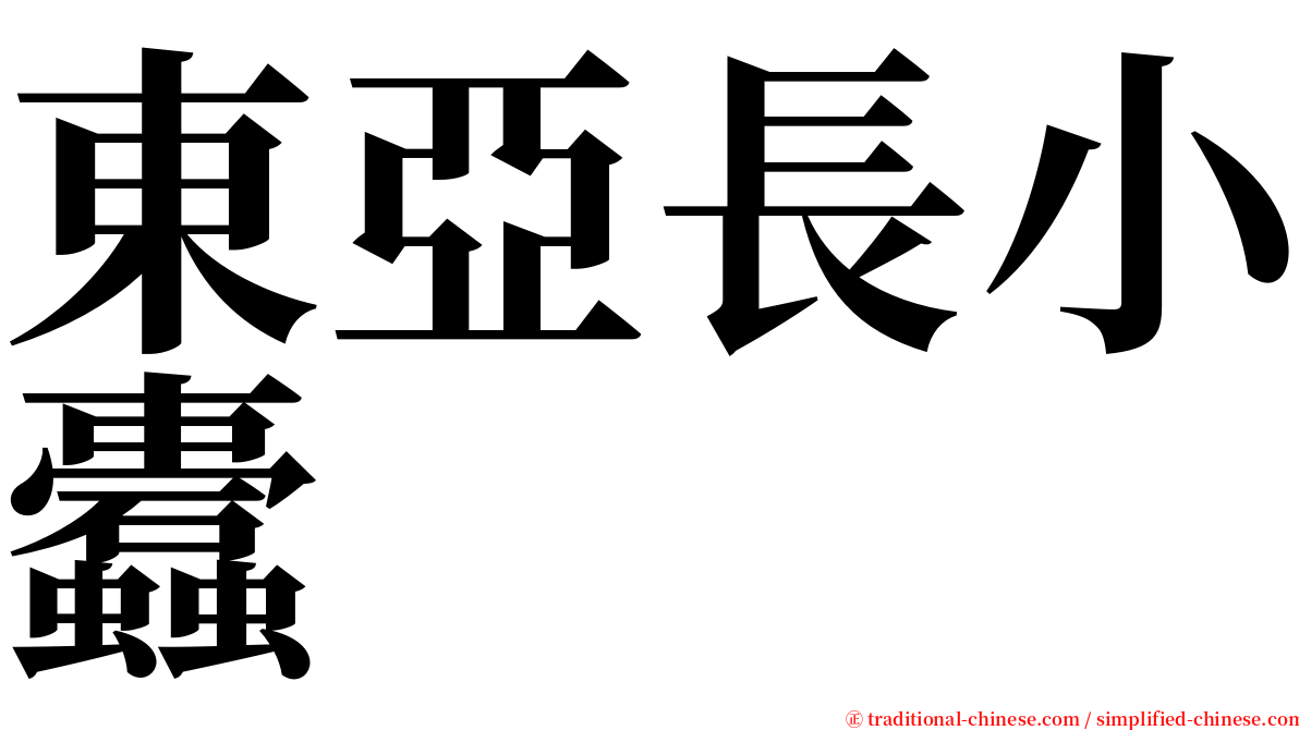 東亞長小蠹 serif font